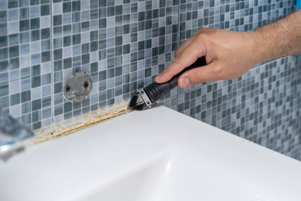 Best Mold Damage Repair  in Palmyra, WI
